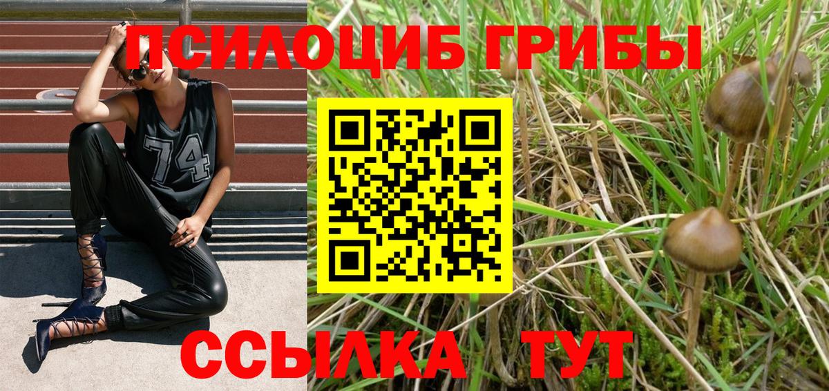 Галлюциногенные грибы ЛСД Заводоуковск