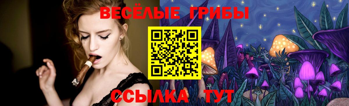 что такое   Вход с VPN  Заводоуковск  Псилоцибиновые грибы Psilocybe 
